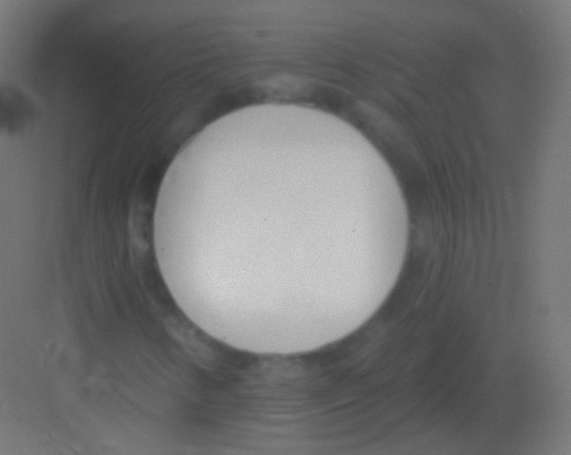 X0000081401346200702090053