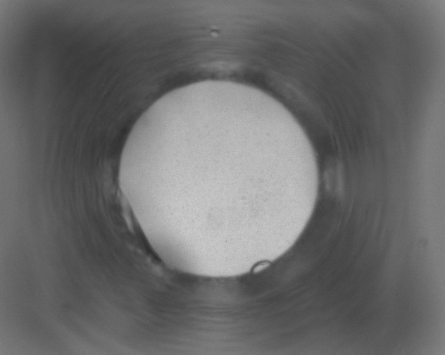 X0000081401347200702090053