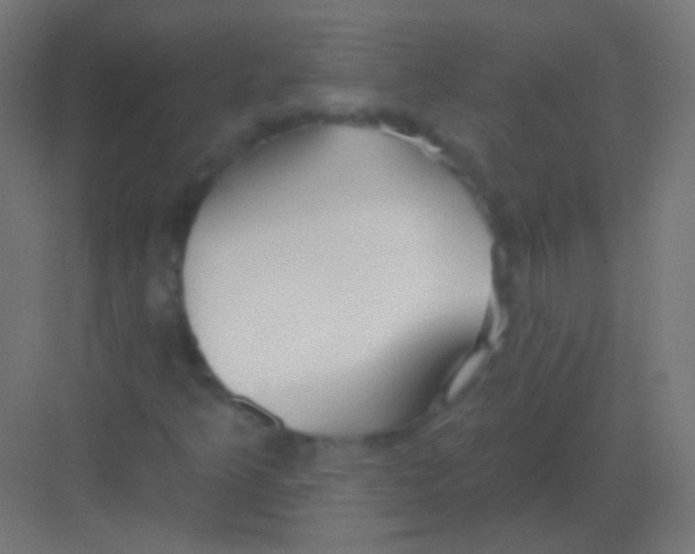 X0000081401349200702090053