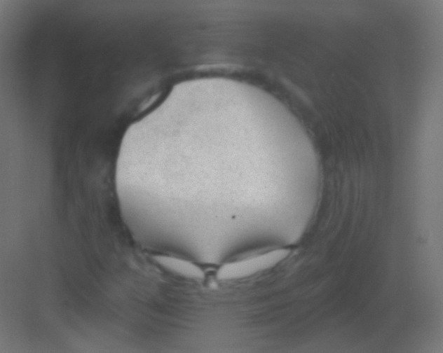 X0000081401351200702090053