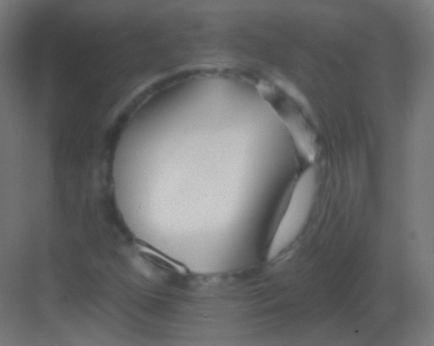 X0000081401352200702090053