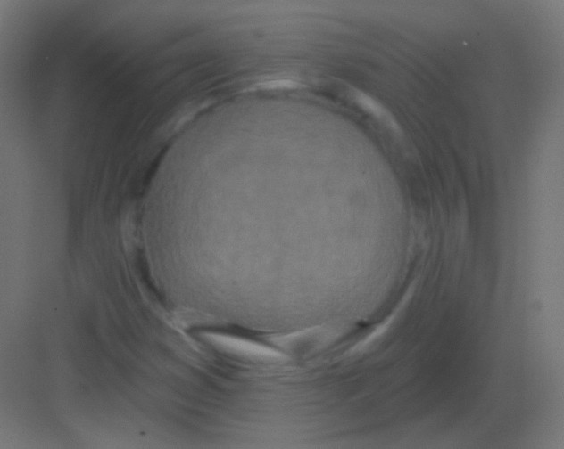 X0000081401353200702090053