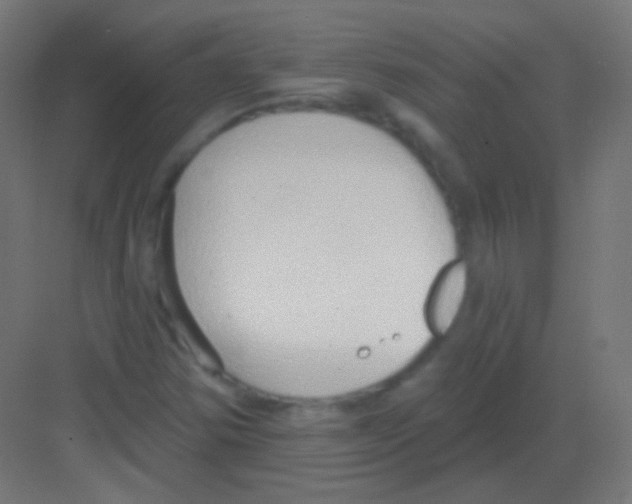 X0000081401354200702090053