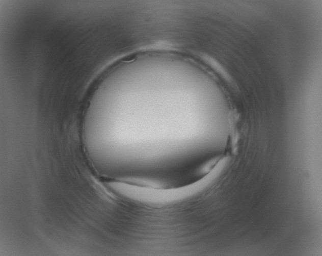 X0000081401356200702090053