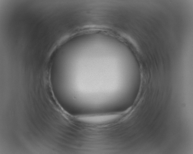 X0000081401357200702090053