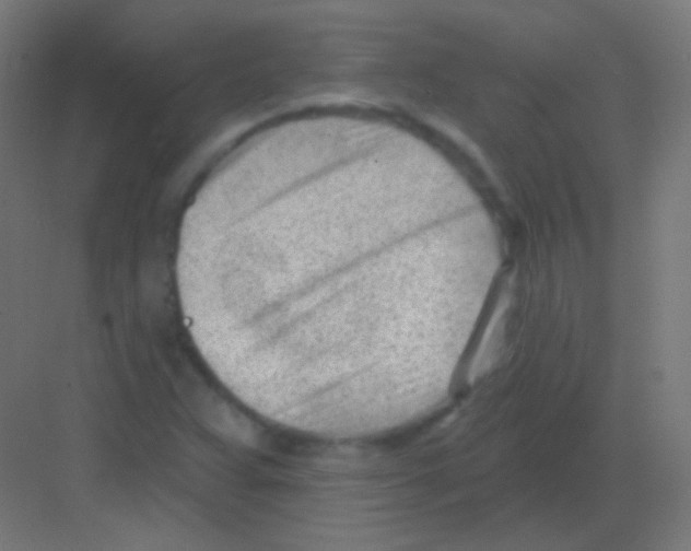 X0000081401359200702090053