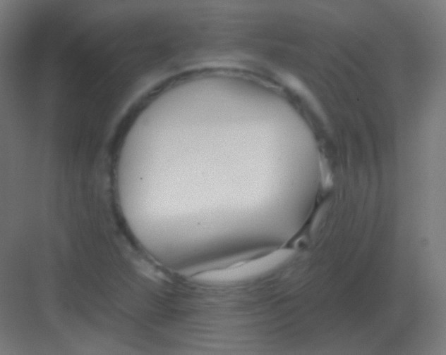 X0000081401360200702090053