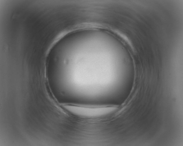 X0000081401365200702090053