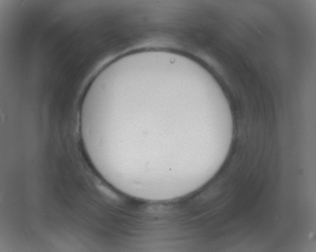 X0000081401366200702090053