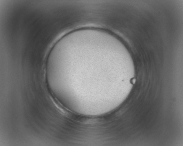 X0000081401367200702090053