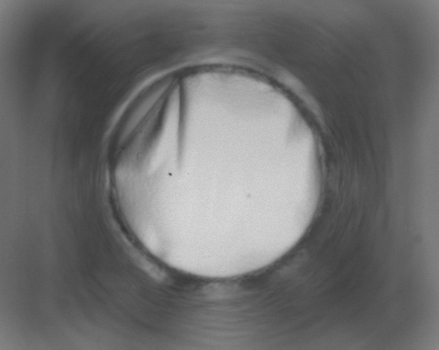 X0000081401368200702090053