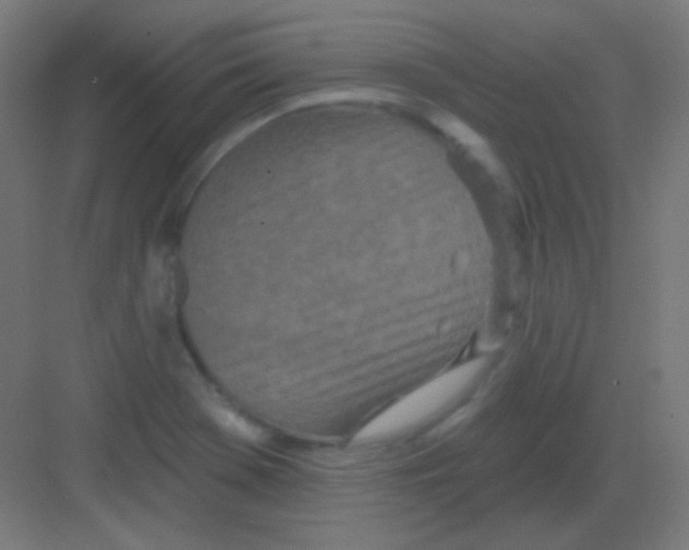 X0000081401369200702090053