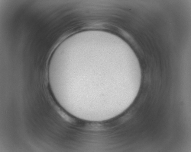 X0000081401370200702090053