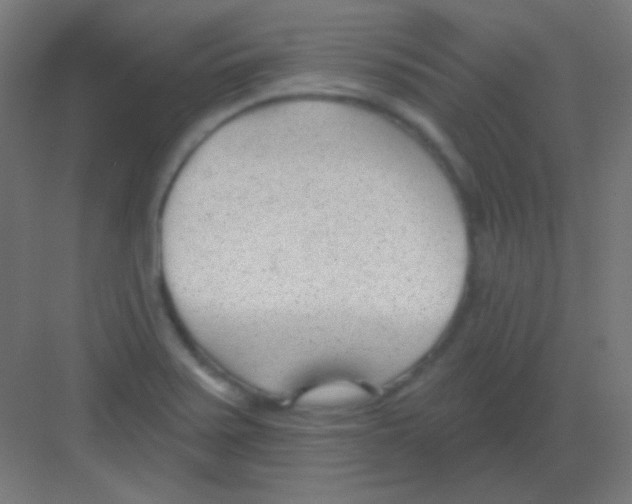 X0000081401371200702090052