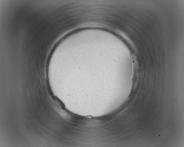 X0000081401372200702090052