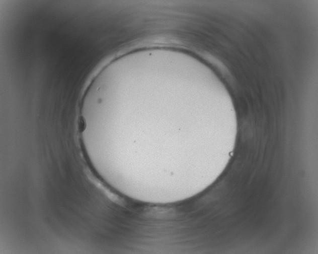 X0000081401374200702090052