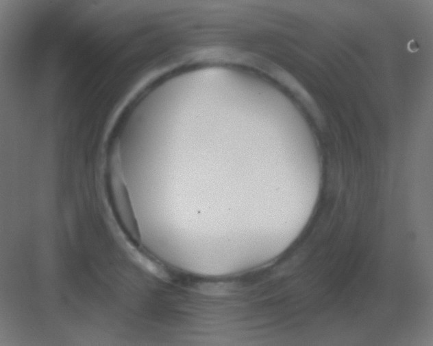 X0000081401376200702090052