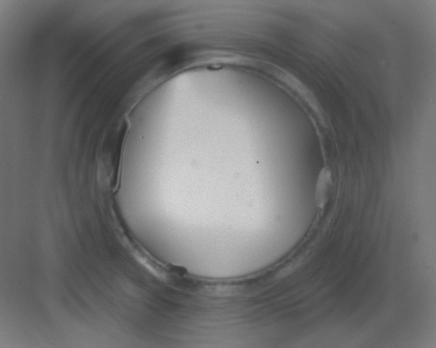 X0000081401377200702090052