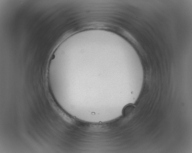 X0000081401378200702090052