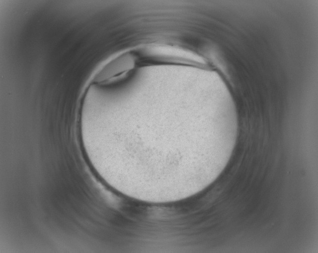 X0000081401379200702090052