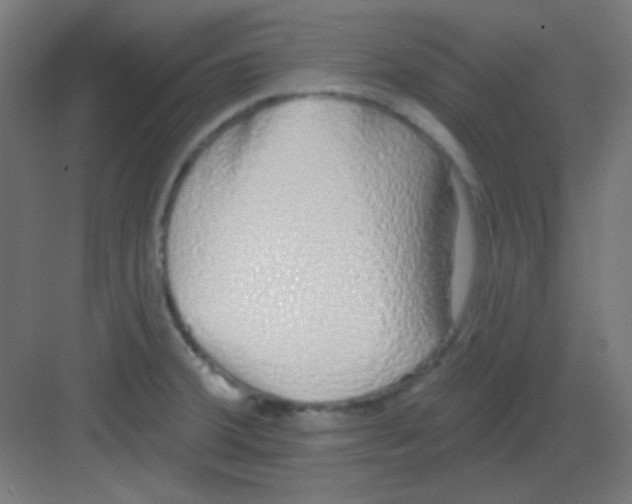 X0000081401380200702090052