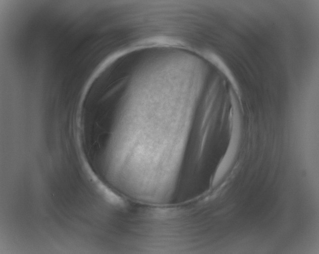 X0000081401381200702090052