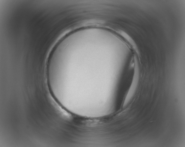 X0000081401384200702090052