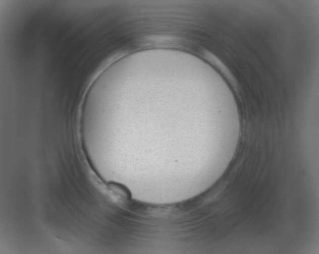 X0000081401386200702090052