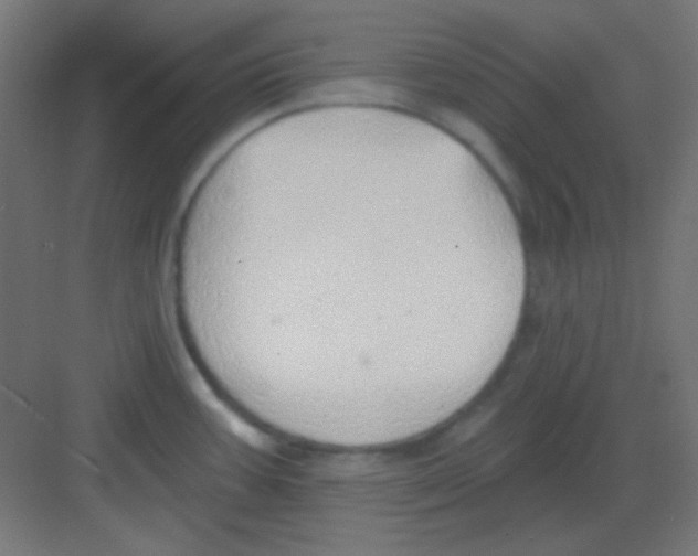 X0000081401387200702090052