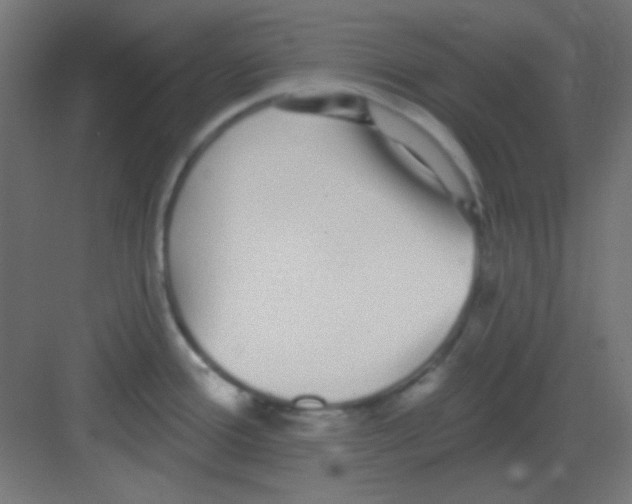 X0000081401388200702090052