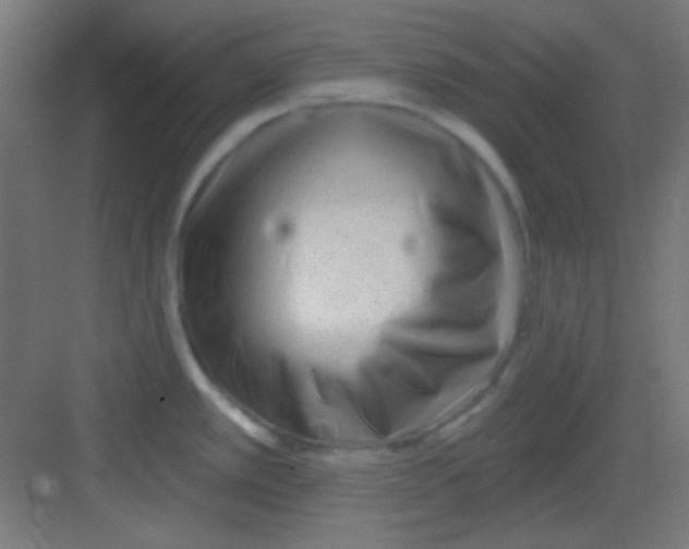 X0000081401389200702090052