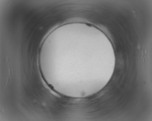 X0000081401390200702090052