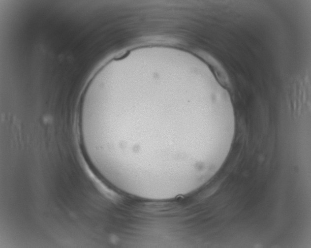 X0000081401391200702090052