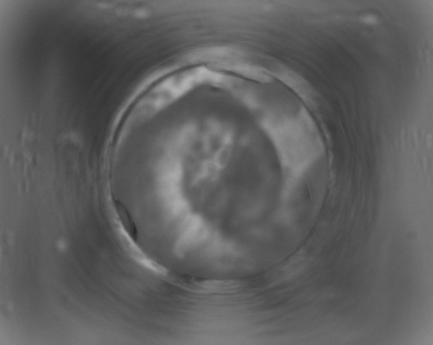 X0000081401392200702090052