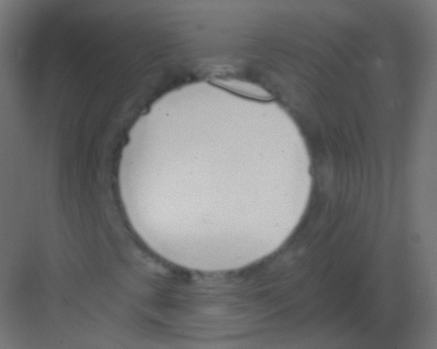 X0000081401393200702090051