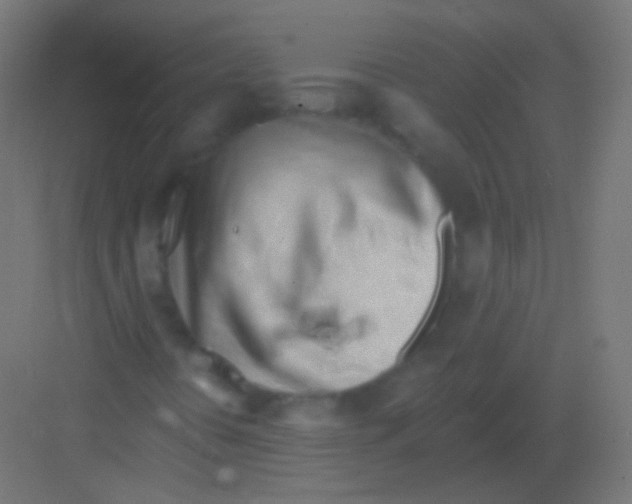 X0000081401394200702090051