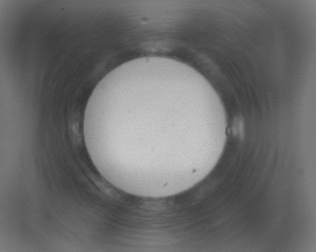 X0000081401396200702090051