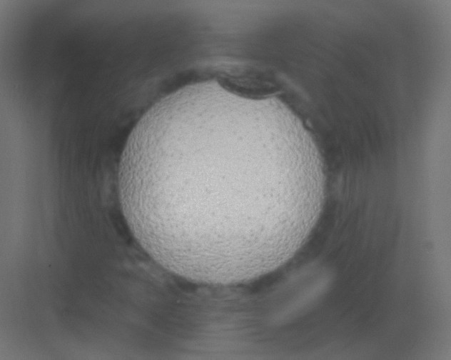 X0000081401397200702090051