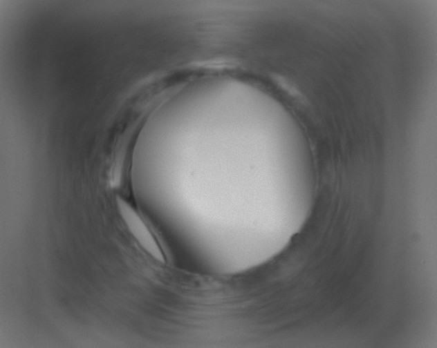 X0000081401398200702090051