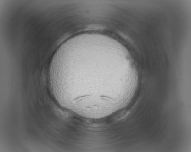 X0000081401401200702090051