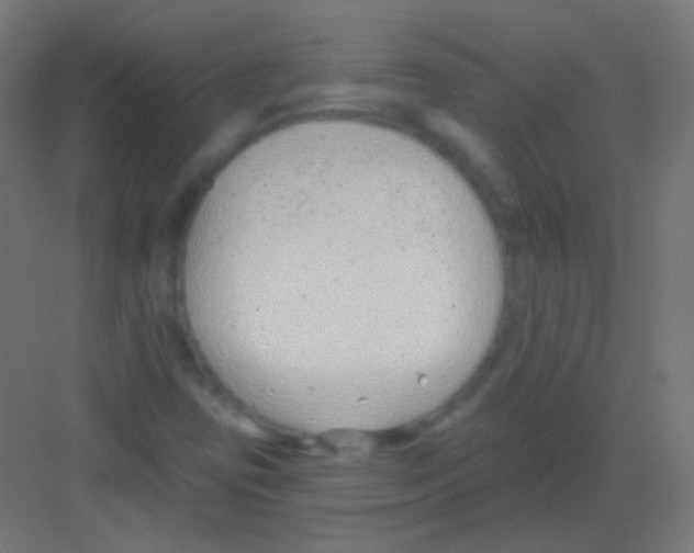 X0000081401403200702090052