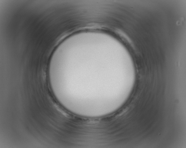 X0000081401409200702090052