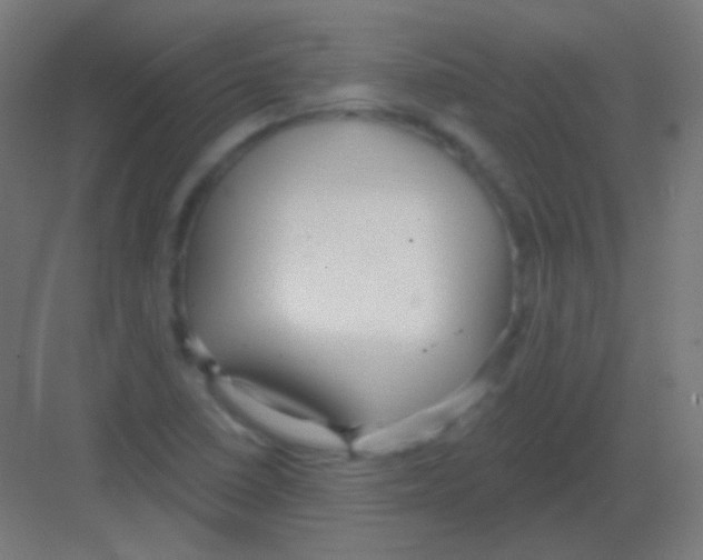 X0000081401410200702090052