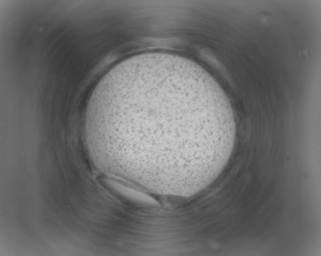 X0000081401411200702090052