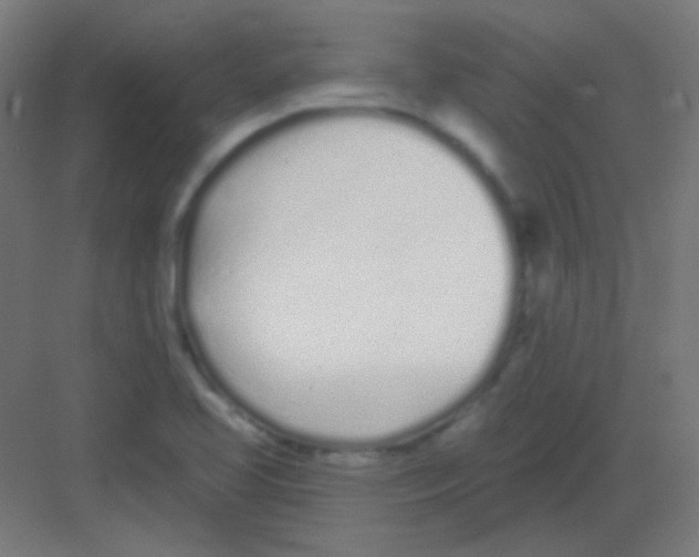 X0000081401413200702090052