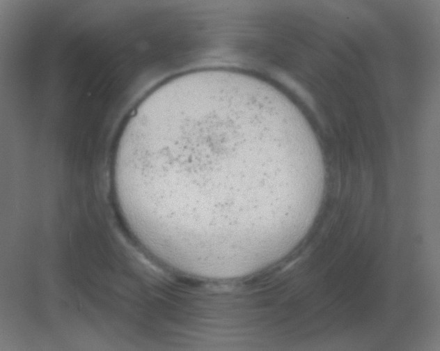 X0000081401415200702090052