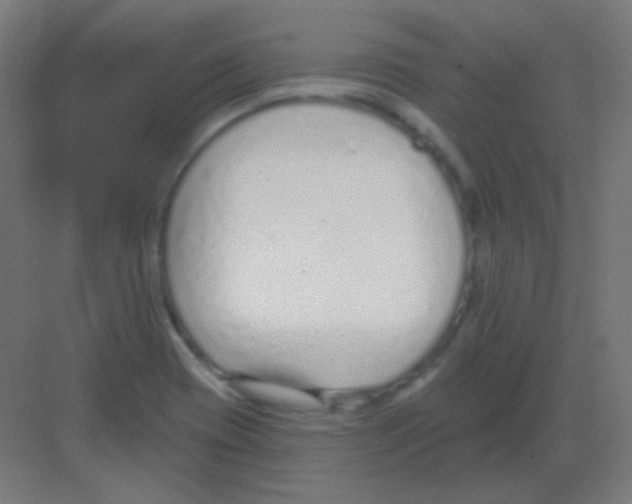 X0000081401417200702090052