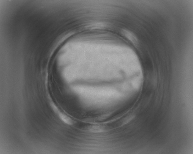 X0000081401418200702090052