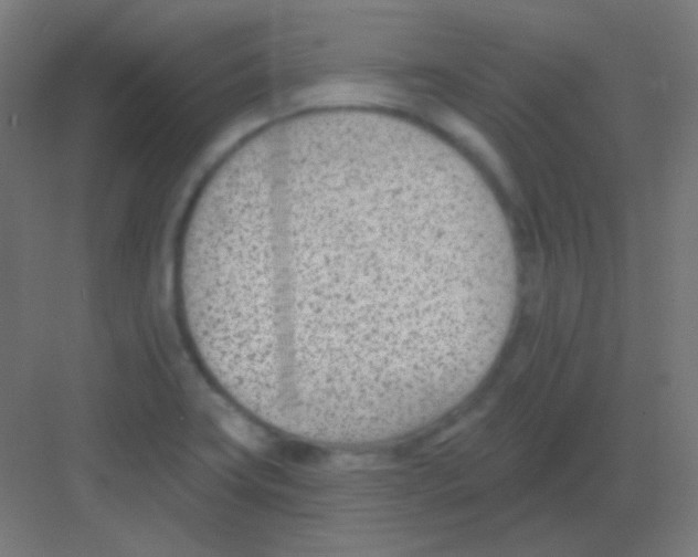 X0000081401419200702090052