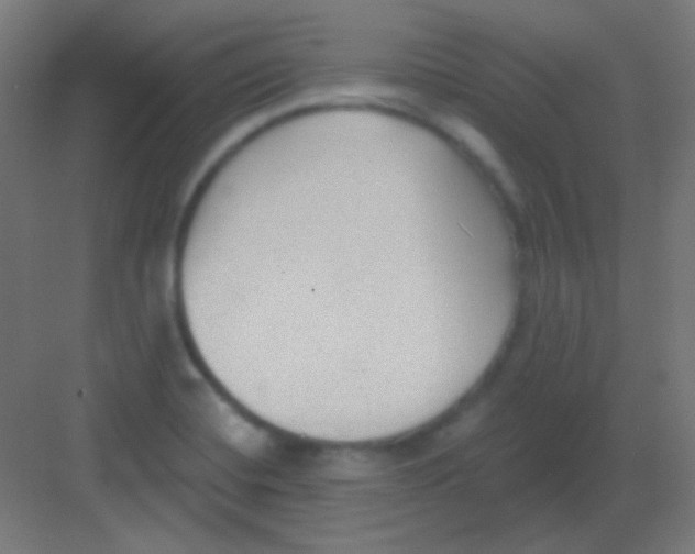 X0000081401420200702090052